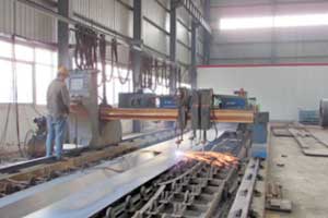 Crane manufacturing of Yuantai Crane Company