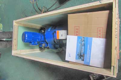 Electric wire rope hosit and parts paacked for Mongolia