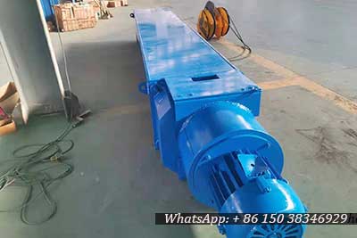 40 ton wire rope electric hoist for Philippines client