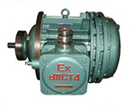 Explosion proof motor