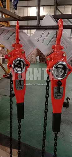 Lever hoist 0.5 T -4M