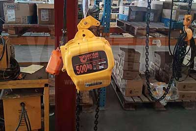 500 kg jib hoist crane