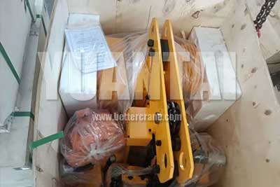 Electric chain hoist for sale 