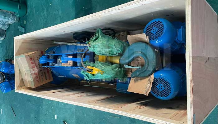  electric hoists 10 ton for sale Philippines