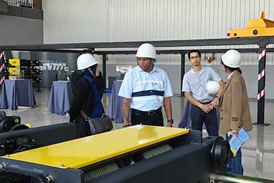 Crane Hoist & Crane Kits for Malaysia, Tailored Savings for Local Buyers