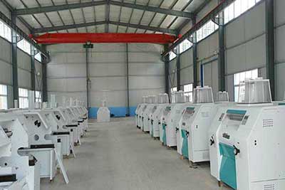 Choosing Right Overhead Crane & Gantry Crane for Your Flour Mill