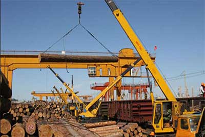 Log Gantry Cranes on Tracks for Logs & Timber Handling 10 T, 50 T