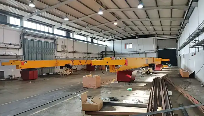 2 Ton, 3 Ton, 5 Ton, and 10 Ton Overhead Cranes in Portugal-Case