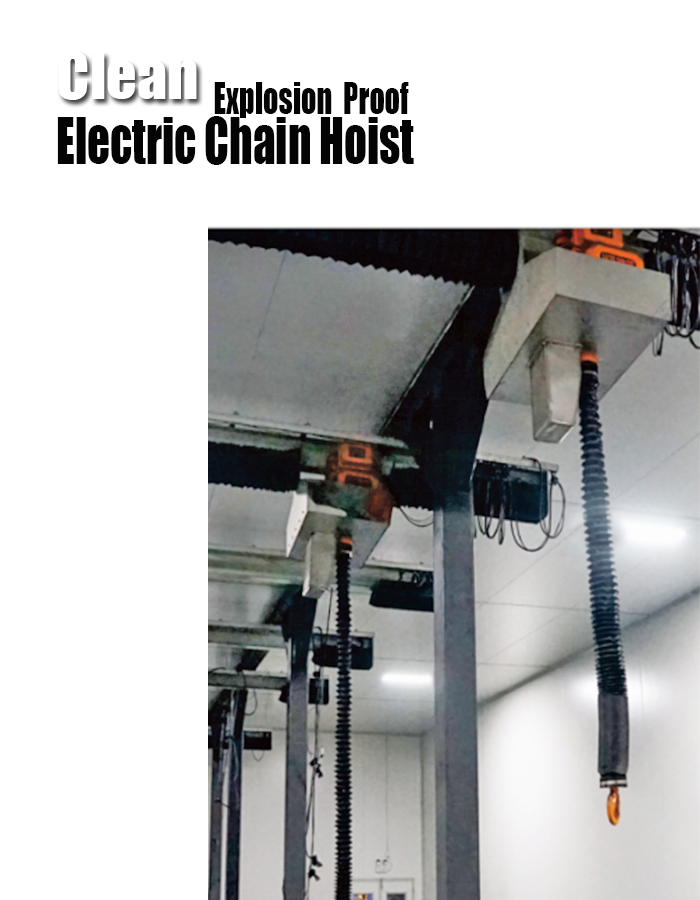 clean room explosion proof  electric chain hoist for sale 