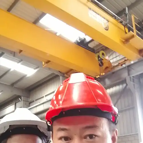 Crane installation cost